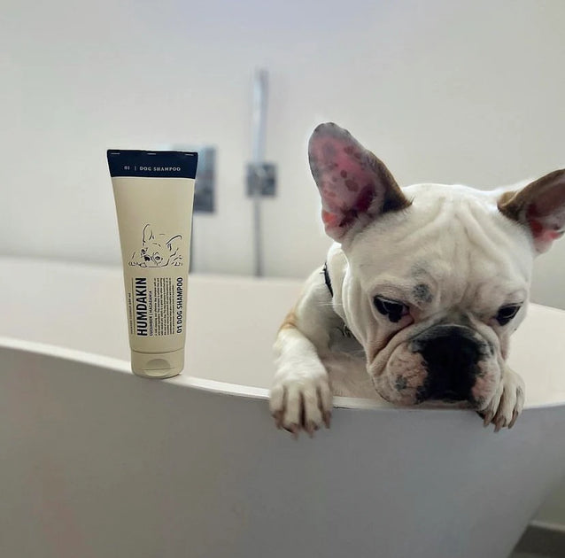 French bulldog puppy shampoo online
