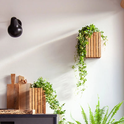 MEET SQUARELY. OUR NEWEST DESIGN BRAND.
