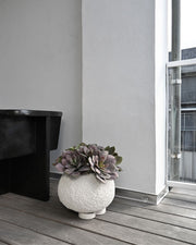 101 Copenhagen Urchin Plant Pot, Mini - Beehive