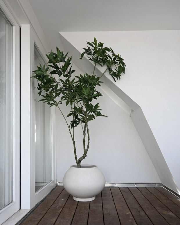 101 Copenhagen Sunao Plant Pot Fat, Hexa - Birch