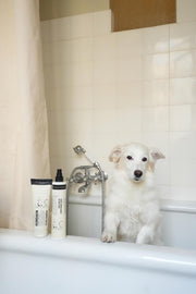 Humdakin Dog Leave in Conditioning Spray