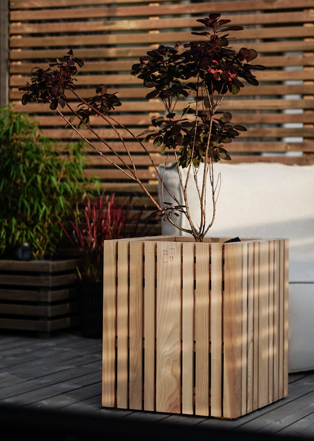 Wooden planter with a plant on a wooden deck