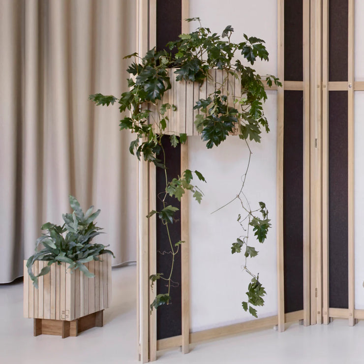 Squarely GrowON Self-Watering Planter, Natural Oak