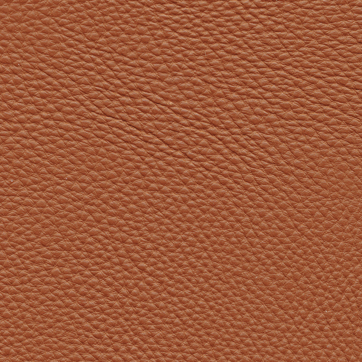 Bent Hansen - Zenso 2 Leather Sample