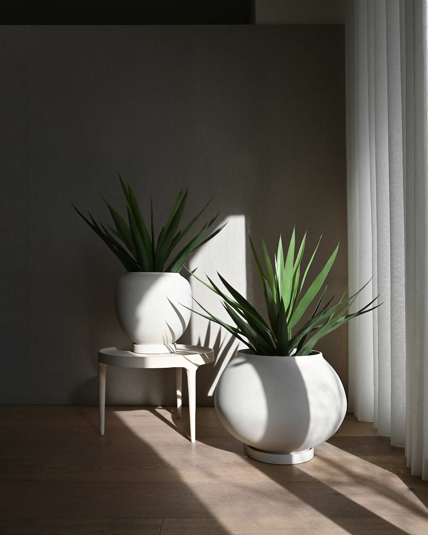 101 Copenhagen Sunao Plant Pot, Medio - Birch