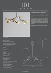 101 Copenhagen Stingray Chandelier - Brass (UL N/A)
