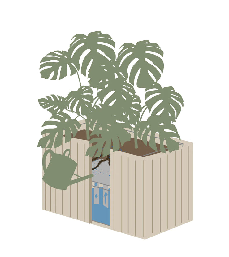 Squarely GrowWIDE Self-Watering Planter, Natural Oak