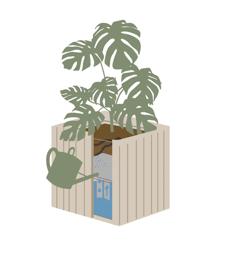 Squarely GrowON Self-Watering Planter, Natural Oak