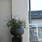 Urchin Plant Pot, Medio - Coffee - 101 CPH