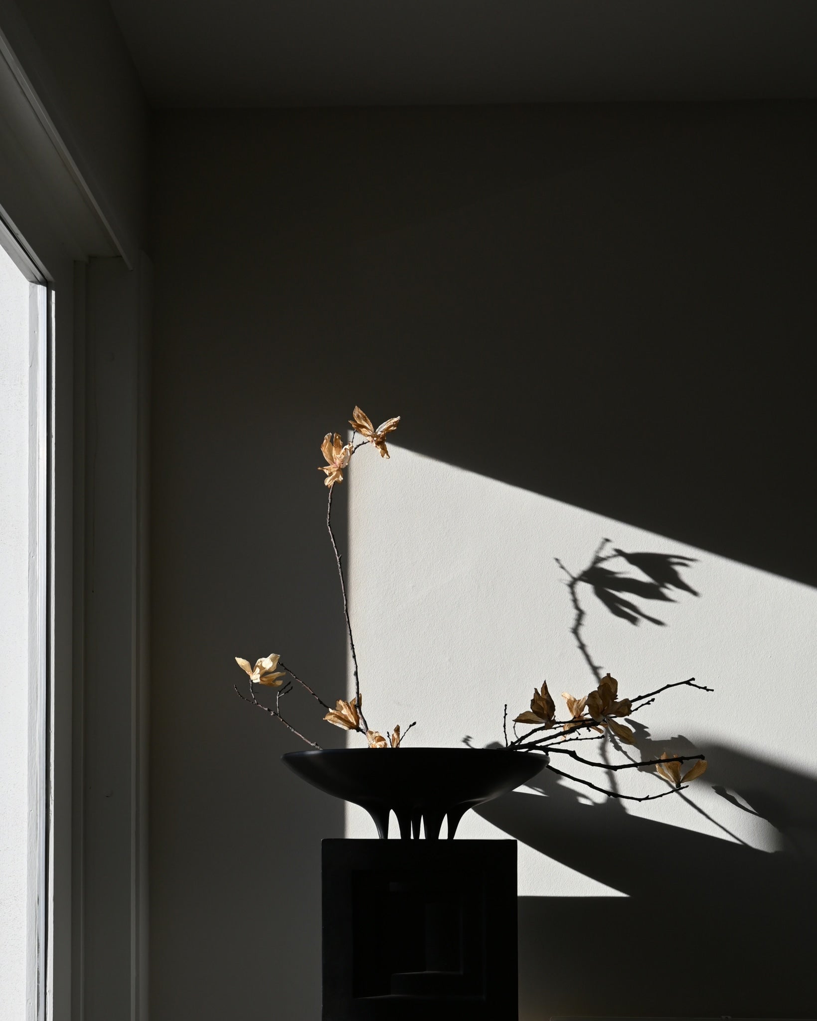 Medusa Tray, Big - Coffee - 101 CPH