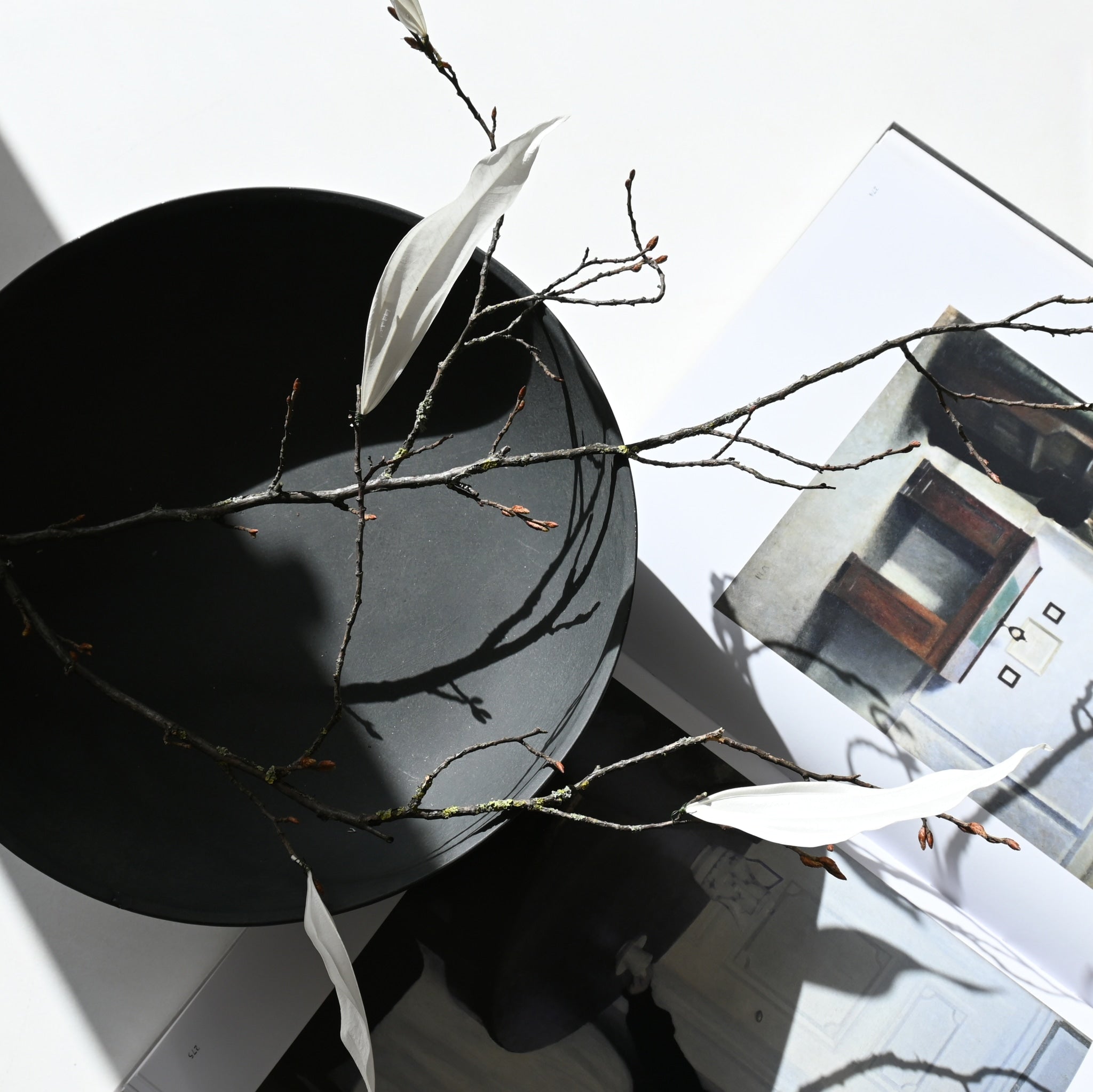 Baburu Bowl, Medio - Black - 101 CPH