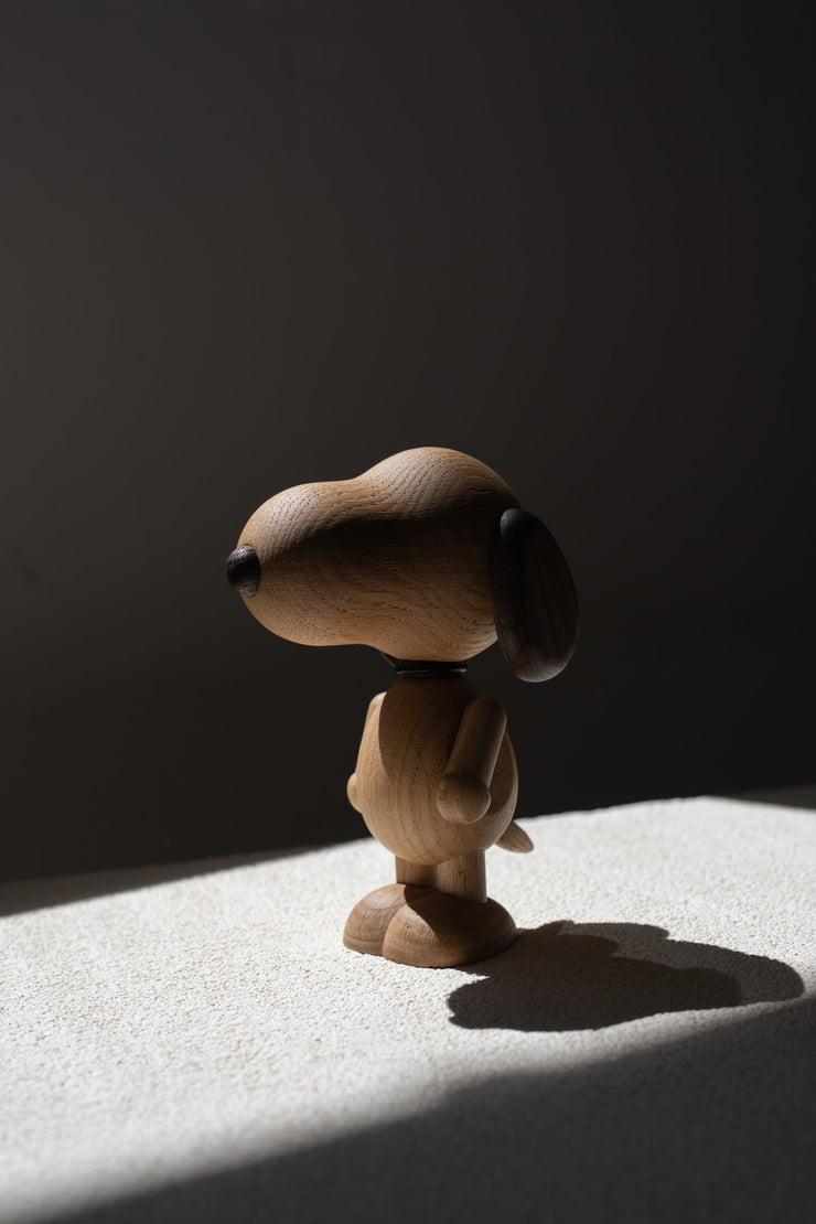 Boyhood Snoopy, Large