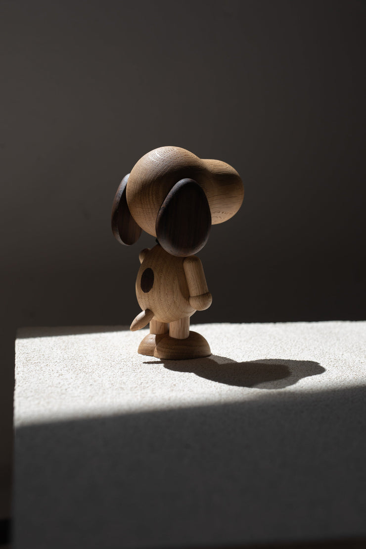 Boyhood Snoopy, Small