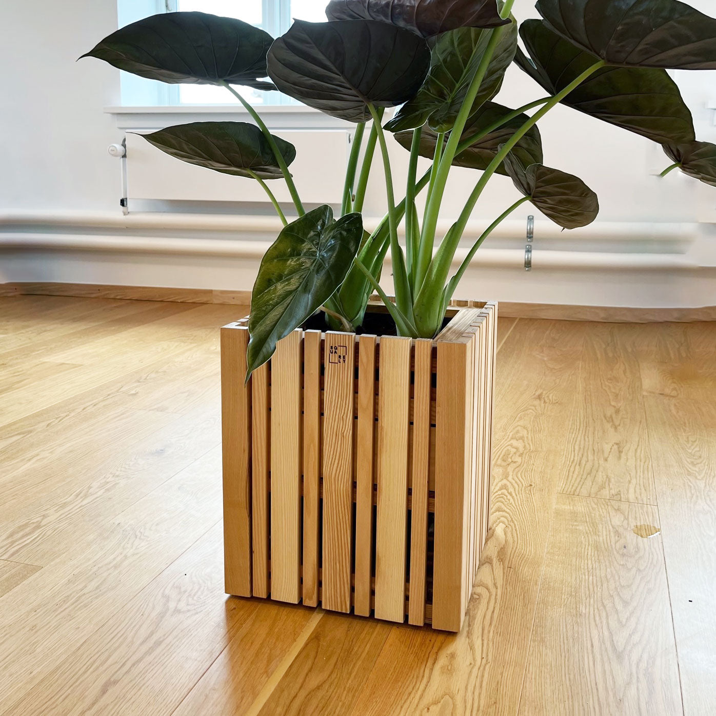 Squarely GrowMORE Self-Watering Planter, Natural Ash