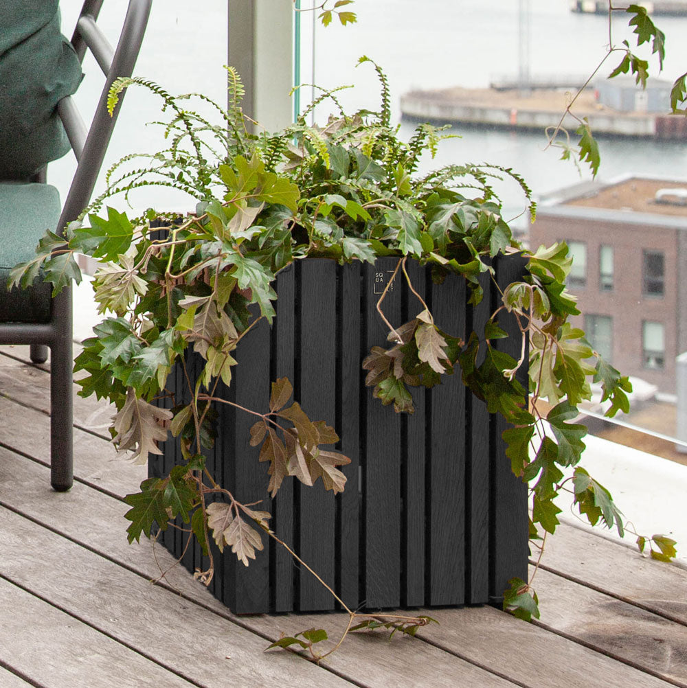 Squarely GrowMORE Self-Watering Planter, Black Ash