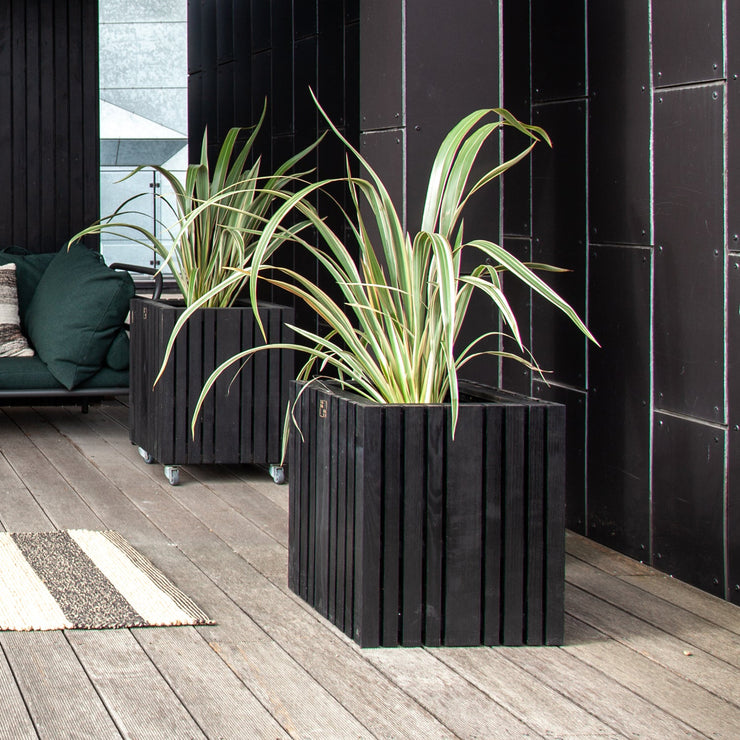 Squarely GrowBIG Self-Watering Planter, Black Ash