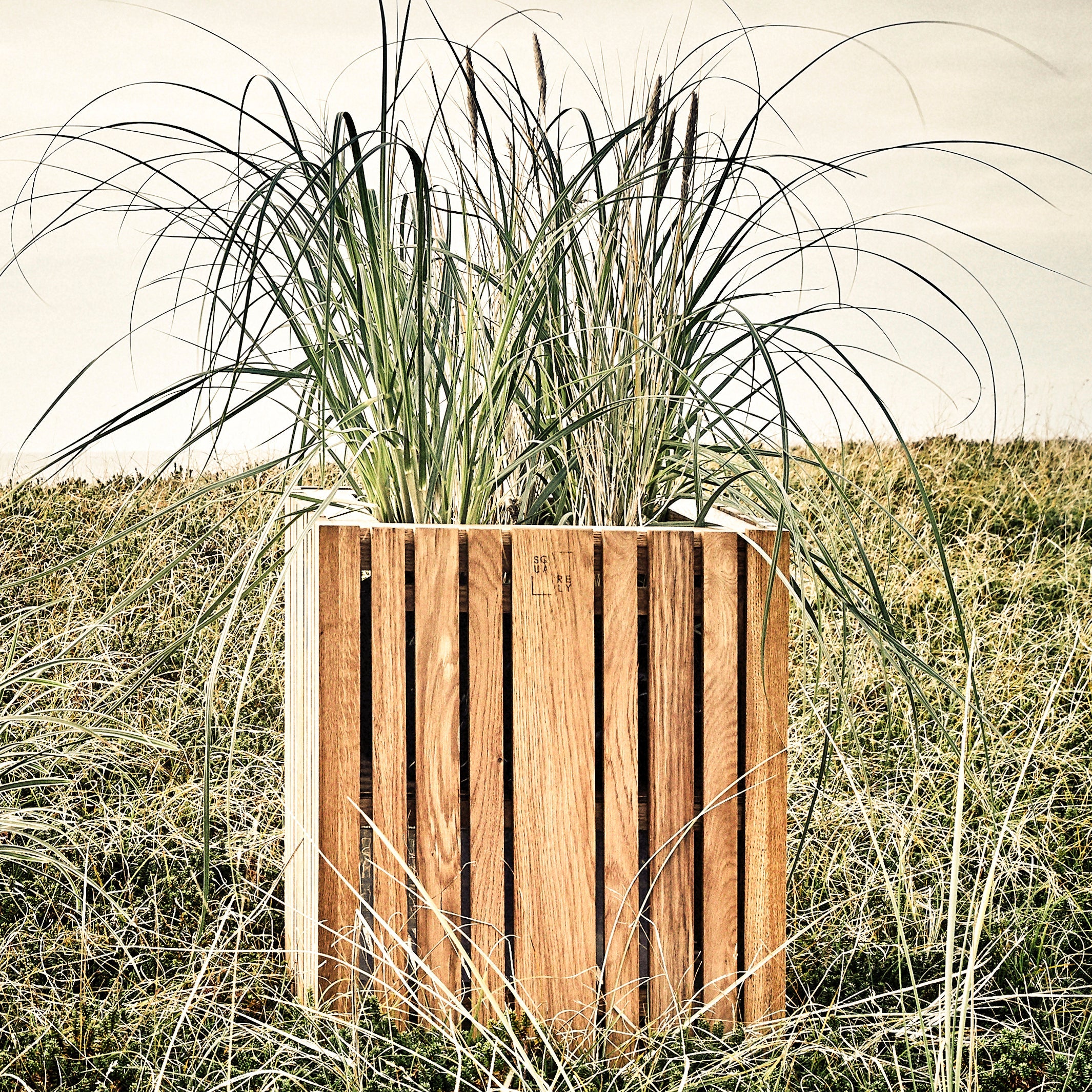 GrowBIG Natural Ash - Squarely