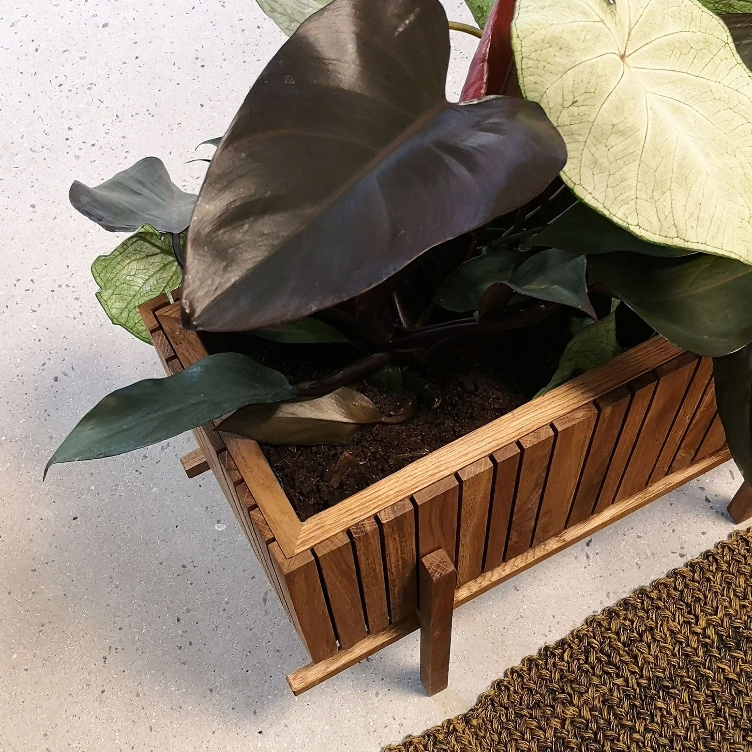 Squarely GrowWIDE Self-Watering Planter, Dark Oak