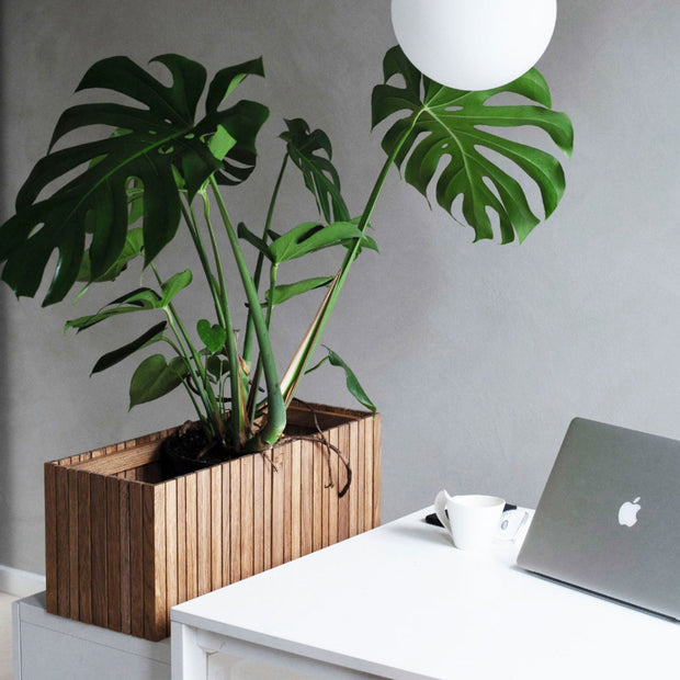 Squarely GrowWIDE Self-Watering Planter, Dark Oak