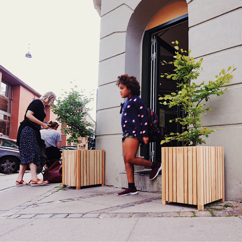GrowBIG Natural Ash - Squarely