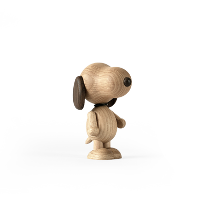 Boyhood Snoopy, Small