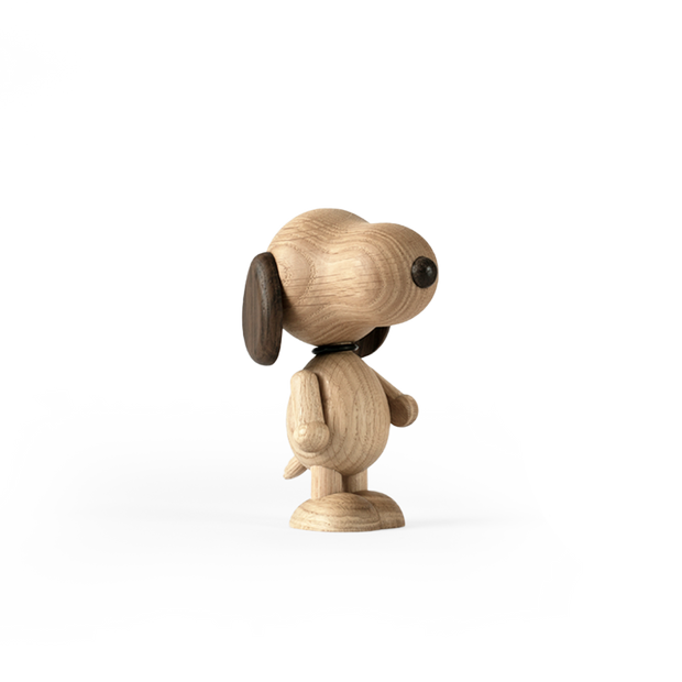 Boyhood Snoopy, Small