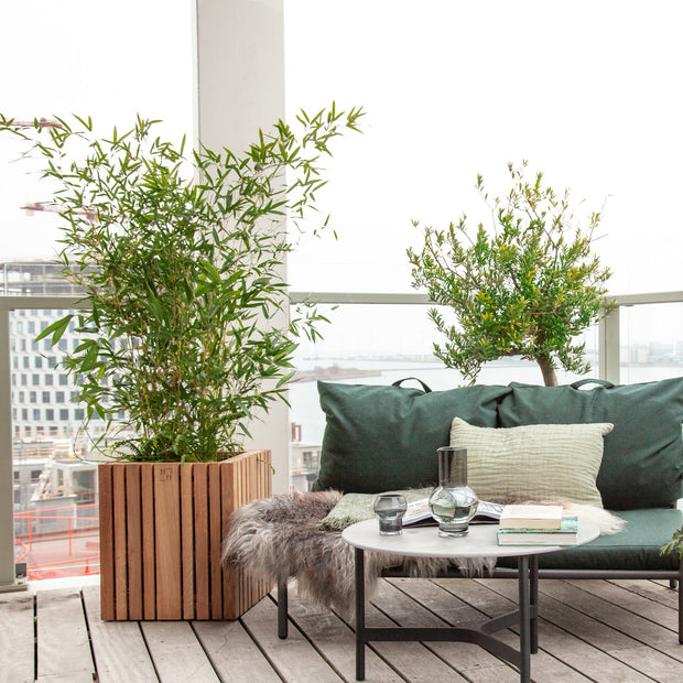 Squarely GrowBIG Self-Watering Planter, Dark Oak