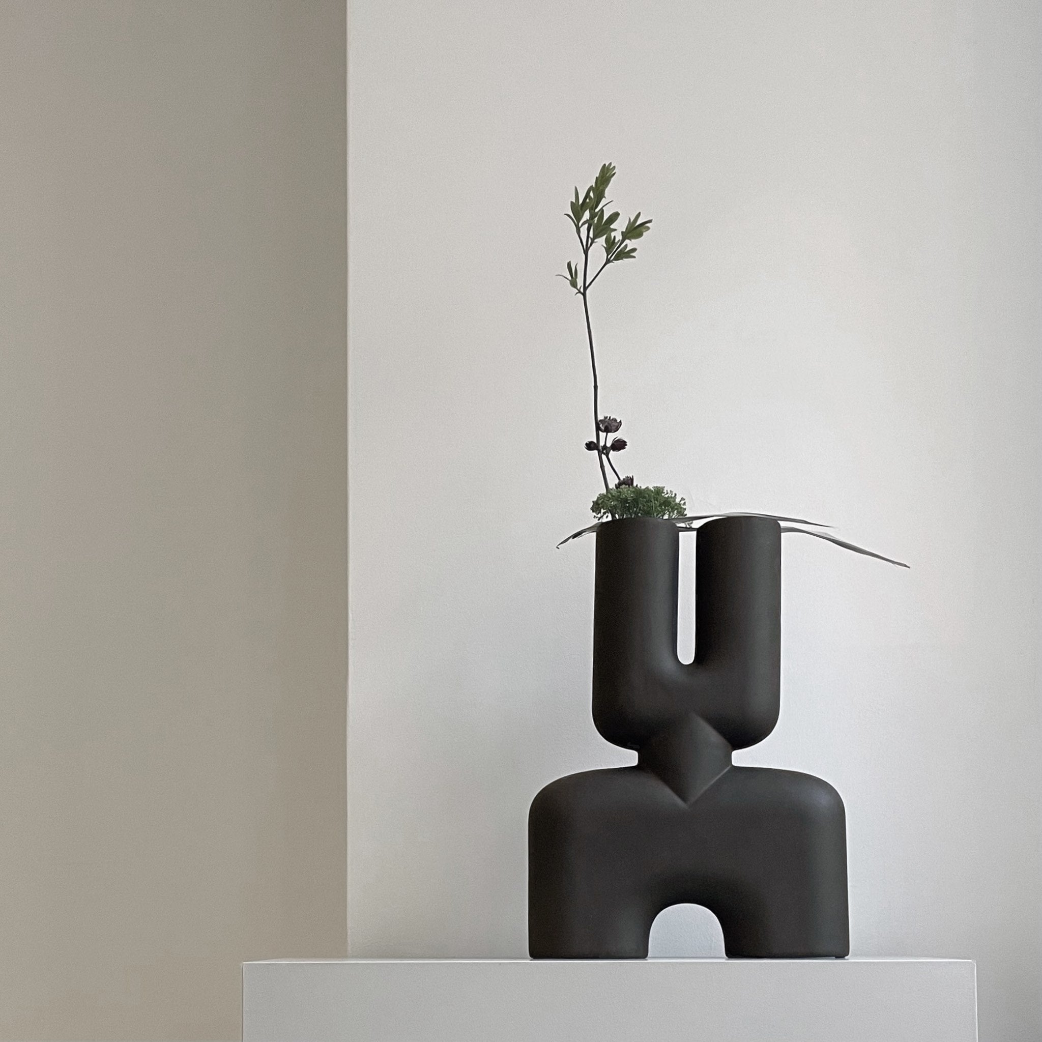 Cobra Double, Medio - Coffee - 101 CPH